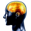 Brain Training icon