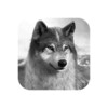 Ikon Wolf Game: Wild Animal Wars