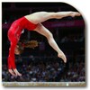 Gymnastics Training icon
