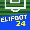 Elifoot 23 icon