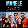Radio Manele icon