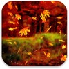 Beautiful Autumn Wallpaper icon