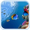 Ocean Fish Live Wallpaper icon