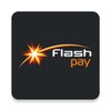 Flash Pay New icon