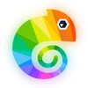 Poly Coloring Puzzle Art Book icon