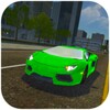 Realistic Driving Sim icon