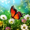 أيقونة Hidden Object Enchanted Spring