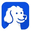 Le migliori alternative a Comet Browser per Windows