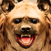 Ultimate Hyena Simulator icon