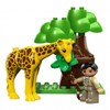 Wonder zoo for kids icon