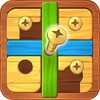 Bolts Adventure: Puzzle Game icon