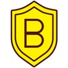 BeeBeePay icon