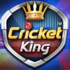 Cricket King icon