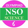 NSO 6 Science icon