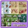 DIY Flower Craft Designs icon