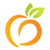 Peach State Health Plan icon