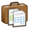 Small Business Accounting icon
