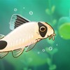 Pondlife icon