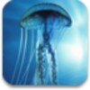 3D Jellyfish HD Live Wallpaper icon