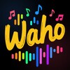 Икона Waho