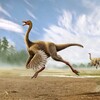 Икона Gallimimus Simulator
