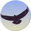 Eagle Mode icon