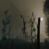 Icono de Survive the forest Wiki