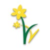 Daffodils - Parent App icon