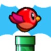 Happy Bird - Tiny Wings icon