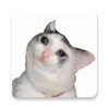 Stickers Memes आइकन