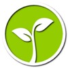 Lucky tree - plant your tree icon