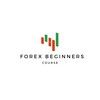 FOREX TRADING BEGINNERS COURSE icon