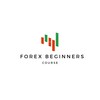 FOREX TRADING BEGINNERS COURSE 아이콘