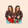 Mirror Collage icon