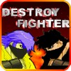 DESTROY FIGHTER icon