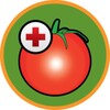Tomato diseases icon