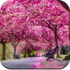 Beautiful Spring Wallpaper 4K icon