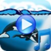 Whales songs to sleep icon