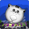 Tap the Cat icon