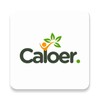 Икона Caloer