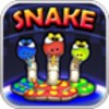 DmSnake2 icon