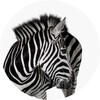 Icono de Investec Business
