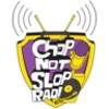 ChopNotSlop icon