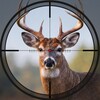 Apex Sniper: Animal Hunt आइकन