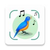 Icono de Bird Song ID