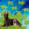 Puzzles with animals icon