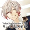 Icon von VoiceSupplement