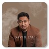 David Lah आइकन