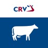 CRV Dier icon