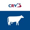 Icona di CRV Dier